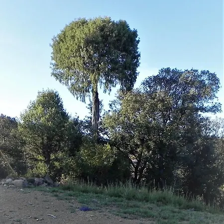 Mas De Munoz Mora de Rubielos