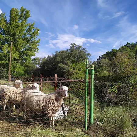 Casa de Campo Mas De Munoz *