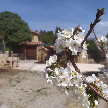 Casa di campagna Mas De Munoz Mora de Rubielos