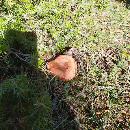 Casa di campagna Mas De Munoz